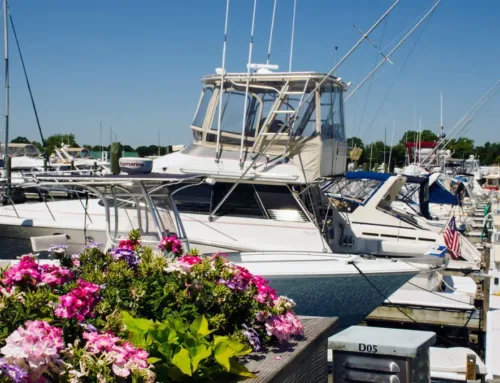 Things To Do While Visiting Harbor Lights This Spring